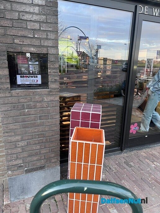 Wie heeft onze plant gezien? - Foto: Ingezonden foto