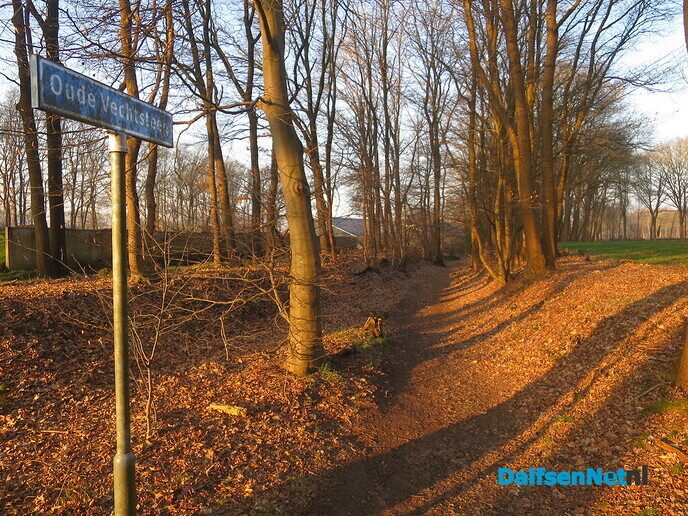 Lekker struinen door de bossen op de vroege zondagmorgen - Foto: Wim