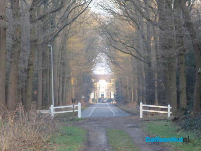 Lekker struinen door de bossen op de vroege zondagmorgen - Foto: Wim