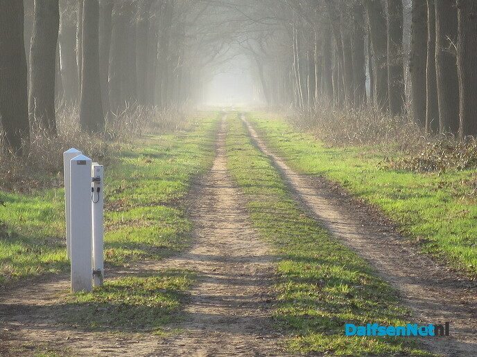 Lekker struinen door de bossen op de vroege zondagmorgen - Foto: Wim