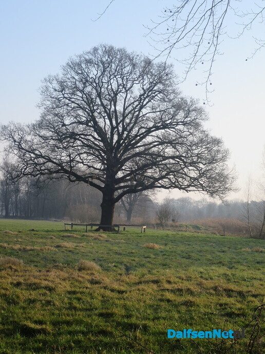 Lekker struinen door de bossen op de vroege zondagmorgen - Foto: Wim