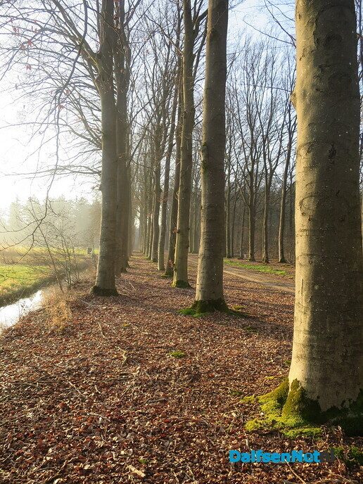 Lekker struinen door de bossen op de vroege zondagmorgen - Foto: Wim