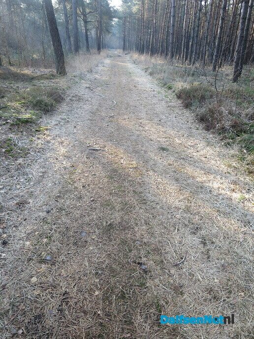 Lekker struinen door de bossen op de vroege zondagmorgen - Foto: Wim