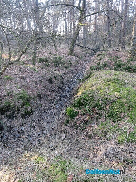Lekker struinen door de bossen op de vroege zondagmorgen - Foto: Wim