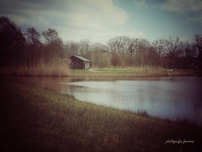 Mooi stukje natuur aan de Meeleweg - Foto: Femmie Smink