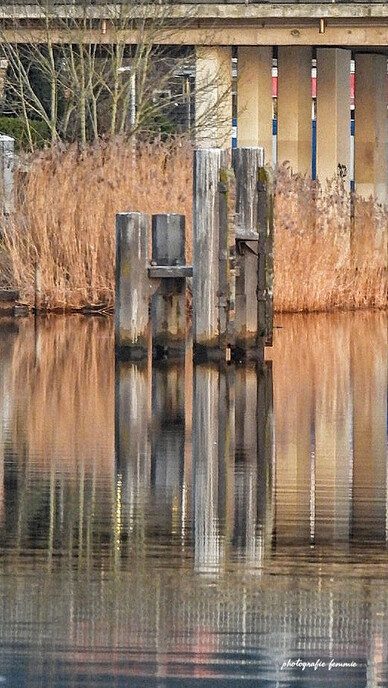 Dalfser fotograaf gaat gemeentegrens over - Foto: Femmie Smink