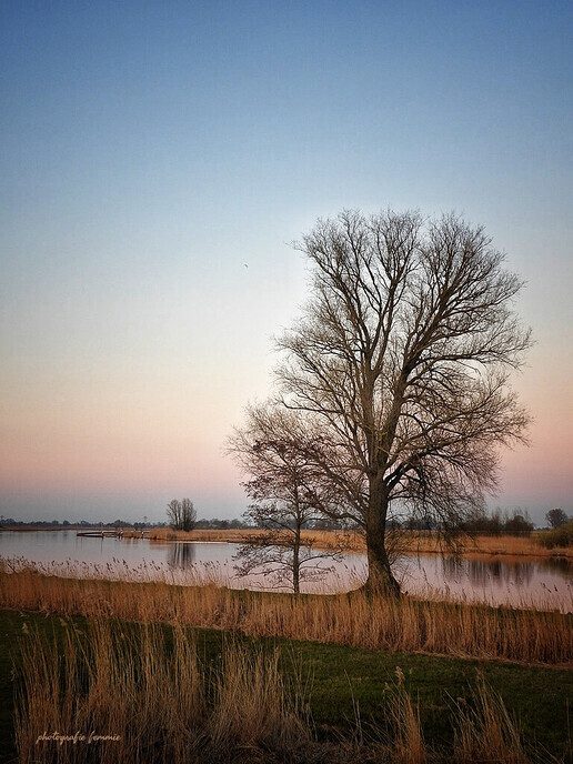 Dalfser fotograaf gaat gemeentegrens over - Foto: Femmie Smink