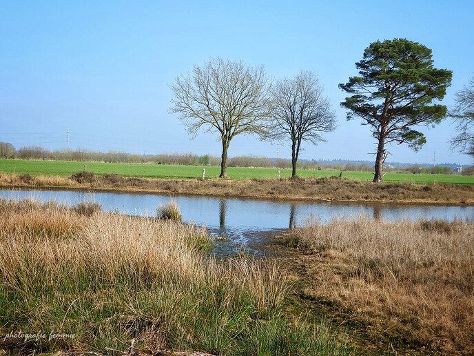 Prachtige beelden uit Witharen - Foto: Femmie Smink