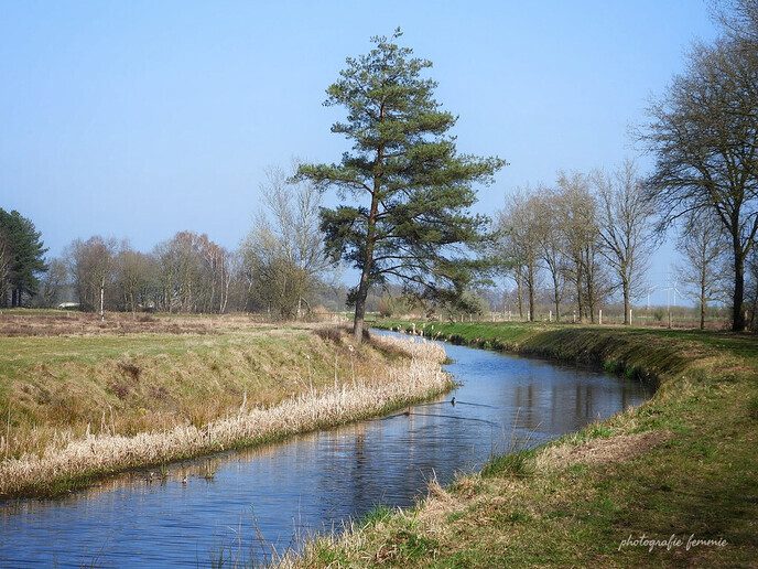 Prachtige beelden uit Witharen - Foto: Femmie Smink