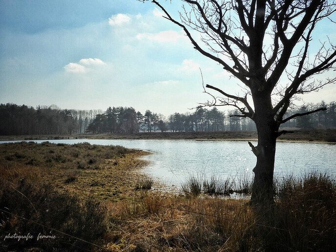 Prachtige beelden uit Witharen - Foto: Femmie Smink
