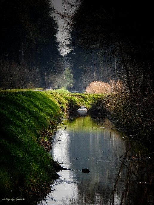 Prachtige beelden uit Witharen - Foto: Femmie Smink