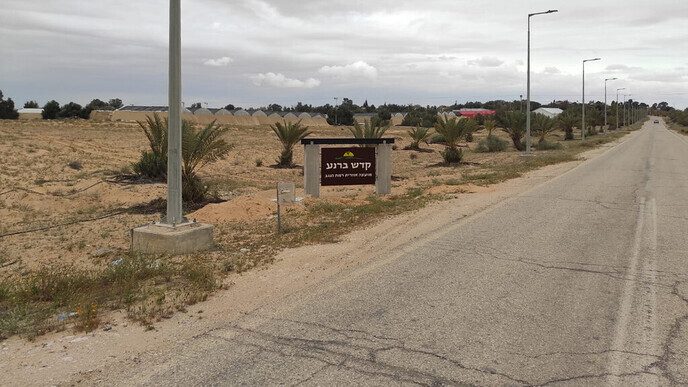 Drie Dalfser vrienden doen vrijwilligerswerk In Israël (deel 2) - Foto: Eigen geleverde foto