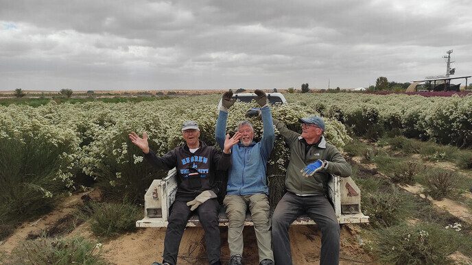 Drie Dalfser vrienden doen vrijwilligerswerk In Israël (deel 2) - Foto: Eigen geleverde foto