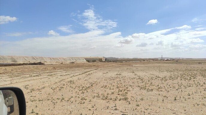 Drie Dalfser vrienden doen vrijwilligerswerk In Israël (deel 2) - Foto: Eigen geleverde foto
