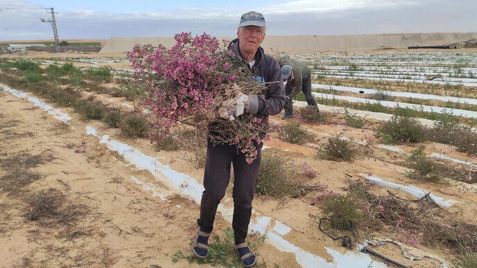 Drie Dalfser vrienden doen vrijwilligerswerk In Israël (deel 2) - Foto: Eigen geleverde foto