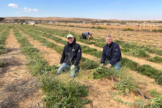 Drie Dalfser vrienden doen vrijwilligerswerk In Israël (deel 2) - Foto: Eigen geleverde foto