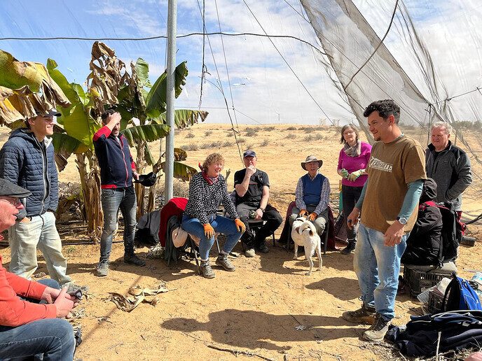 Drie Dalfser vrienden doen vrijwilligerswerk In Israël (deel 2) - Foto: Eigen geleverde foto