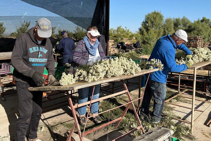 Drie Dalfser vrienden doen vrijwilligerswerk in Israël (deel 3) - Foto: Eigen geleverde foto