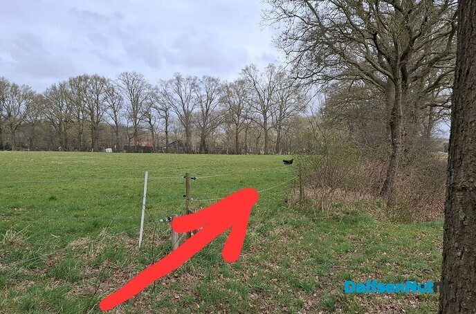 Vliegende tent - Foto: Gruune Jopie