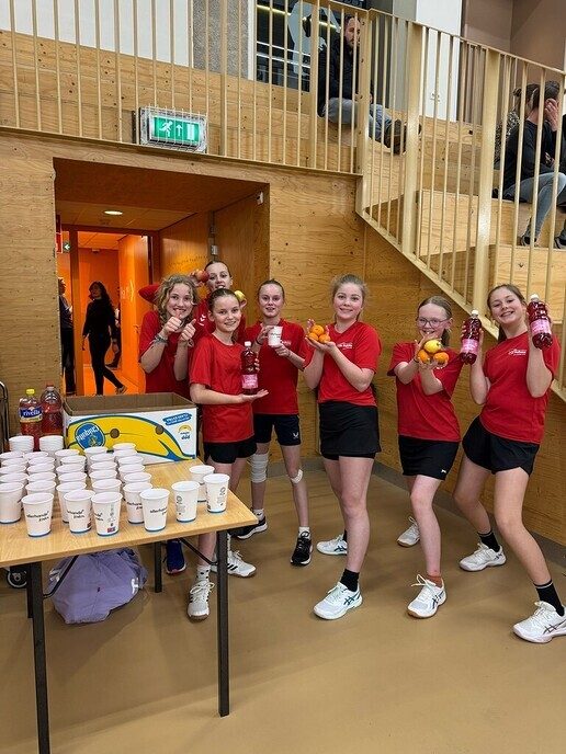 Schoolhandbaltoernooi - Foto: Ingezonden foto