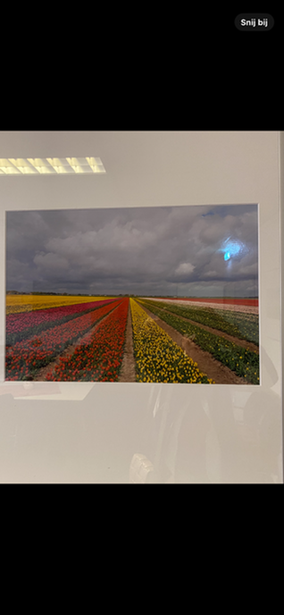 Expositie in de Olmen - Foto: Ingezonden foto