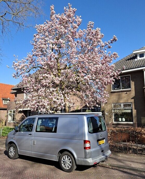 Wat een beauty - Foto: Gruune Jopie