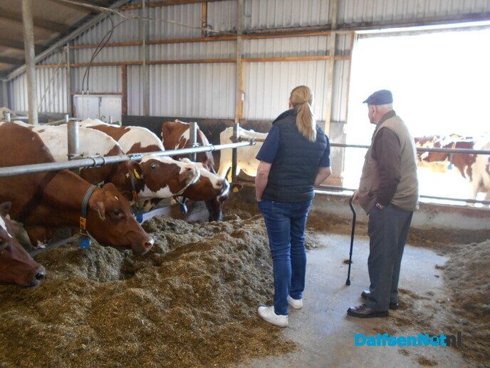 Enorm veel belangstelling bij open dag boerderij Renee Dijsselhof - Foto: Willy