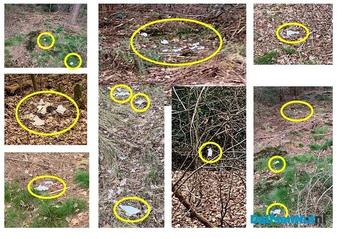 Nieuwe sporen ontdekt op Dalfser landgoederen - Foto: Ingezonden foto