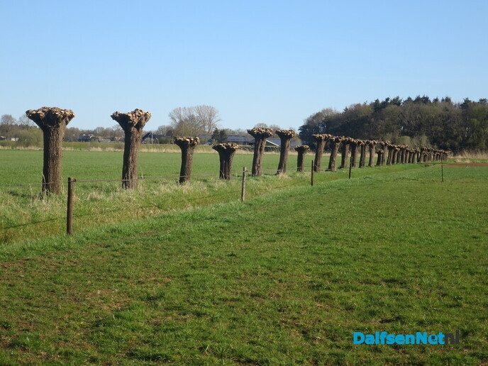 Rondje Oude Vechtsteeg, Den Berg en rondje pontje - Foto: Wim