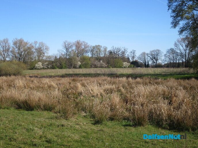 Rondje Oude Vechtsteeg, Den Berg en rondje pontje - Foto: Wim