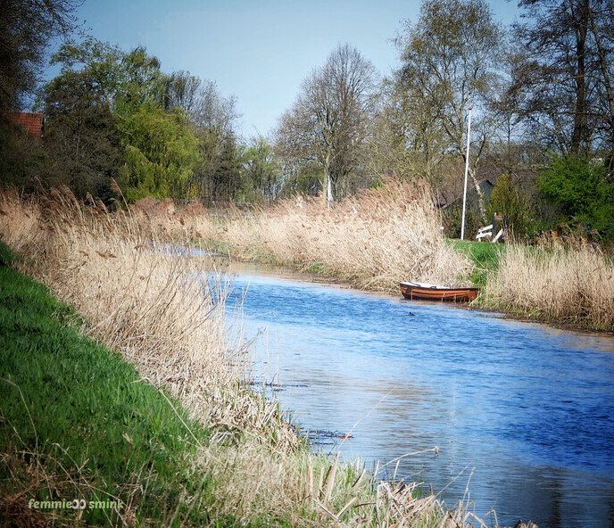 Prachtig mooi stukje natuur - Foto: Femmie Smink