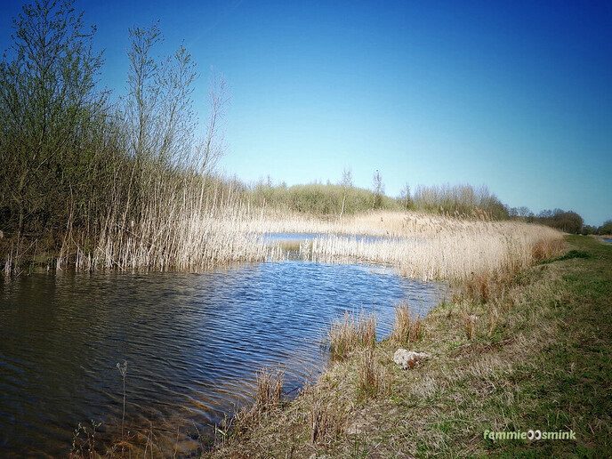 Prachtig mooi stukje natuur - Foto: Femmie Smink