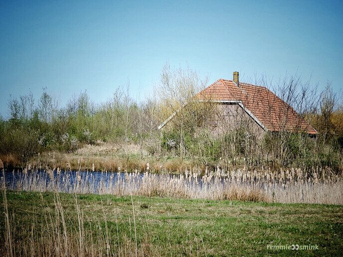 Prachtig mooi stukje natuur - Foto: Femmie Smink