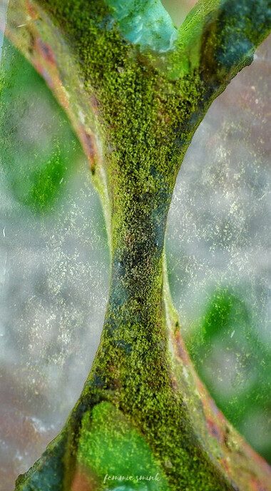Abstracte foto’s - Foto: Femmie Smink