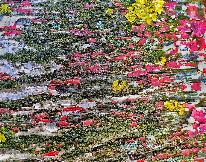 Abstracte foto’s - Foto: Femmie Smink