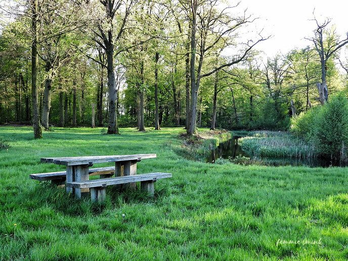 Ommerschans nu - Foto: Femmie Smink