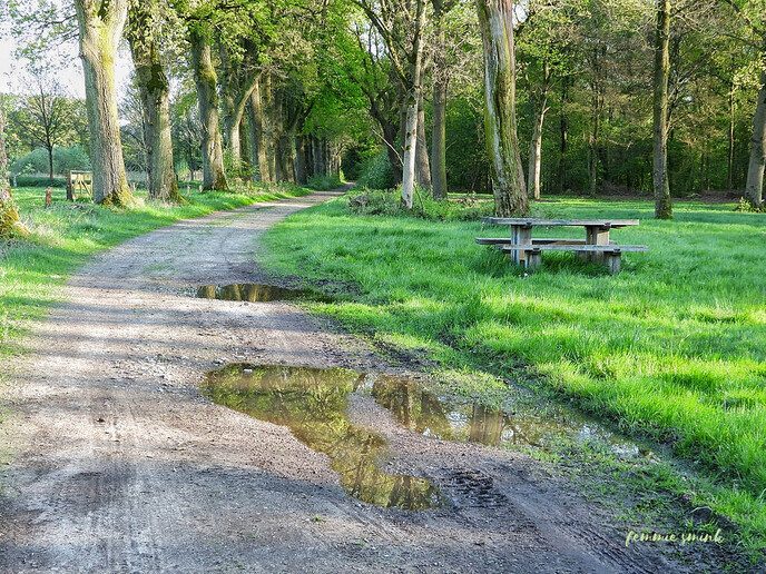 Ommerschans nu - Foto: Femmie Smink
