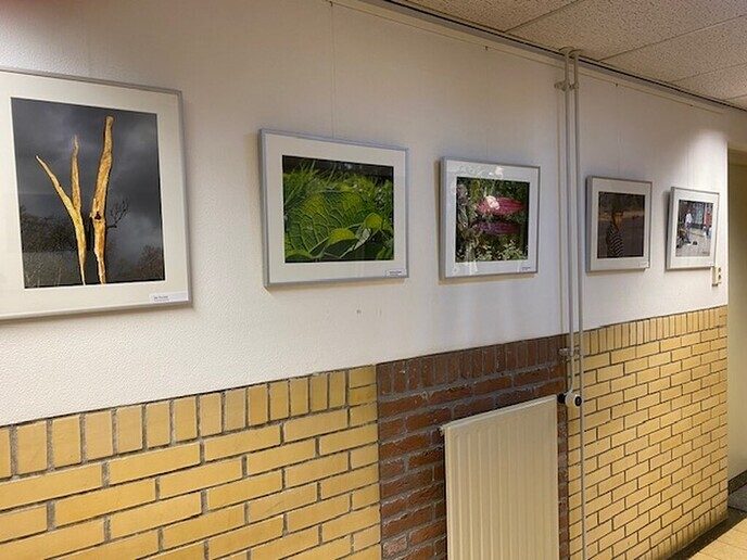 Expositie in de Olmen - Foto: Ingezonden foto