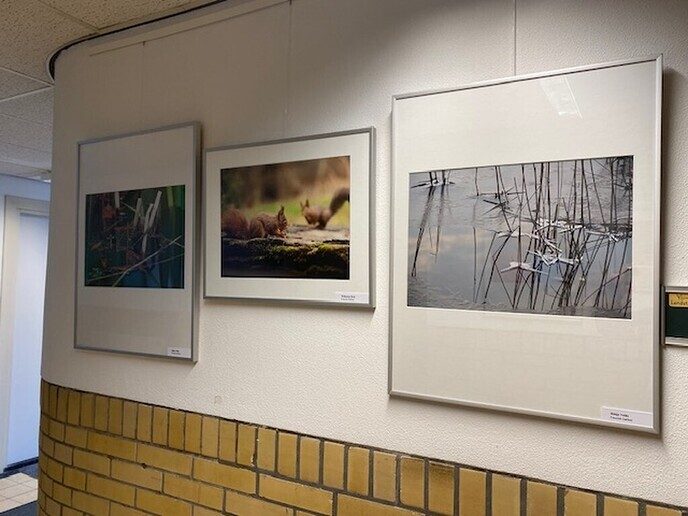 Expositie in de Olmen - Foto: Ingezonden foto