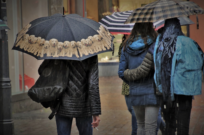 Regenachtige Dagen in Dalfsen: Hoe Locals Zich Vermaken bij Slecht Weer