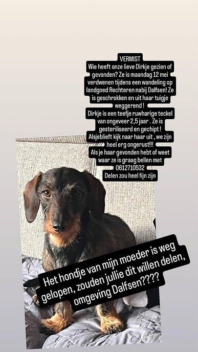 Hondje vermist - Foto: Ingezonden foto