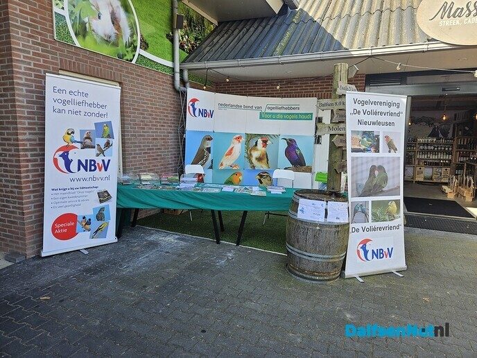 Molen Massier meimarkt - Foto: Ingezonden foto