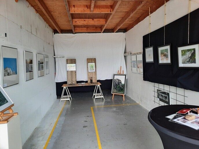 Kunst Om Dalfsen - Foto: Ingezonden foto
