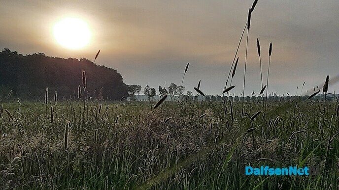 De ochtendstond heeft… - Foto: Jennie Kanis