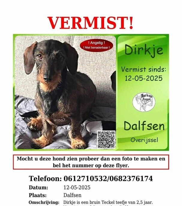 Hond Dirkje sinds 12 mei weg, nu toch weer gezond en wel terug - Foto: Ingezonden foto