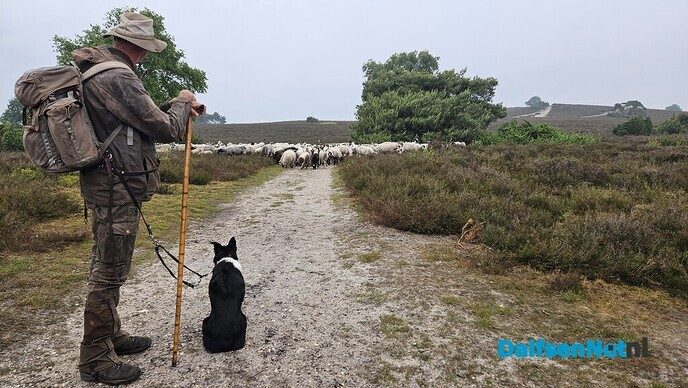 Hemelvaartsdagviering op de Lemelerberg - Foto: Ingezonden foto