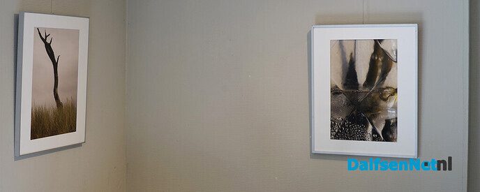 Fotografen van Kamerata blijven exposeren - Foto: Paul Scholten