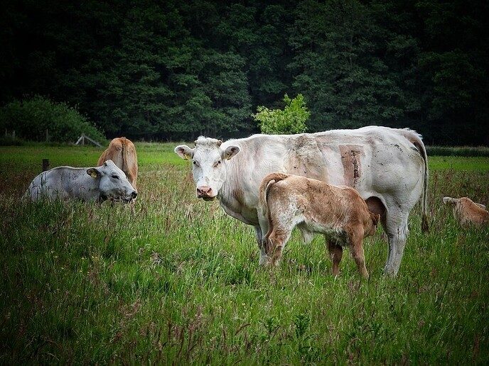 Femmie wandelt de natuurschoon te gemoed, deze keer Arrien - Foto: Femmie Smink