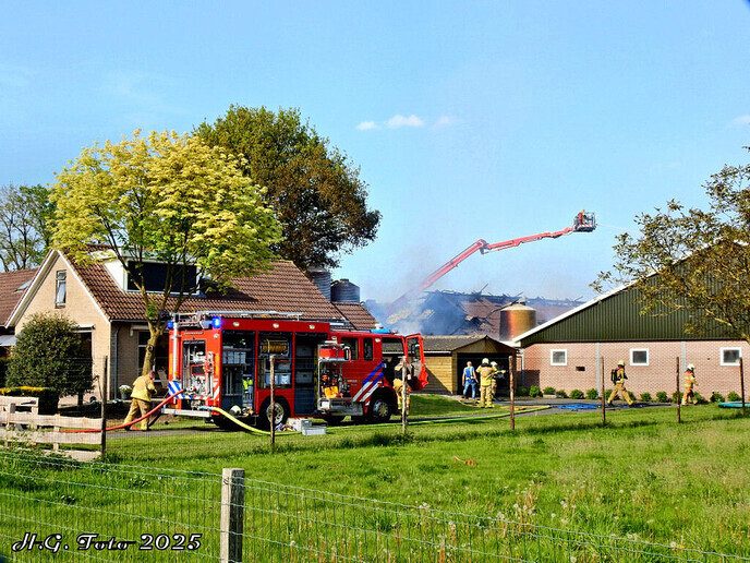 Stalbrand - Foto: H.G. Foto