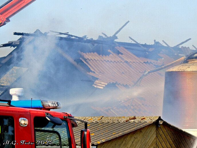 Stalbrand - Foto: H.G. Foto